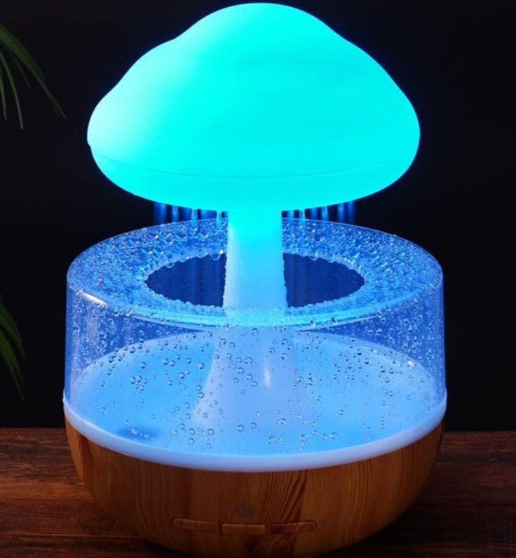 Humidifier & Essential Oil Diffuser – Raindrop Ambient Night Light