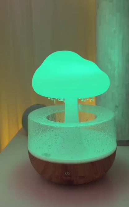 Humidifier & Essential Oil Diffuser – Raindrop Ambient Night Light